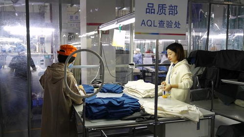 四新四化映照“镜距离” 乌蒙大山里的制衣工厂如何让触控产品远销海外